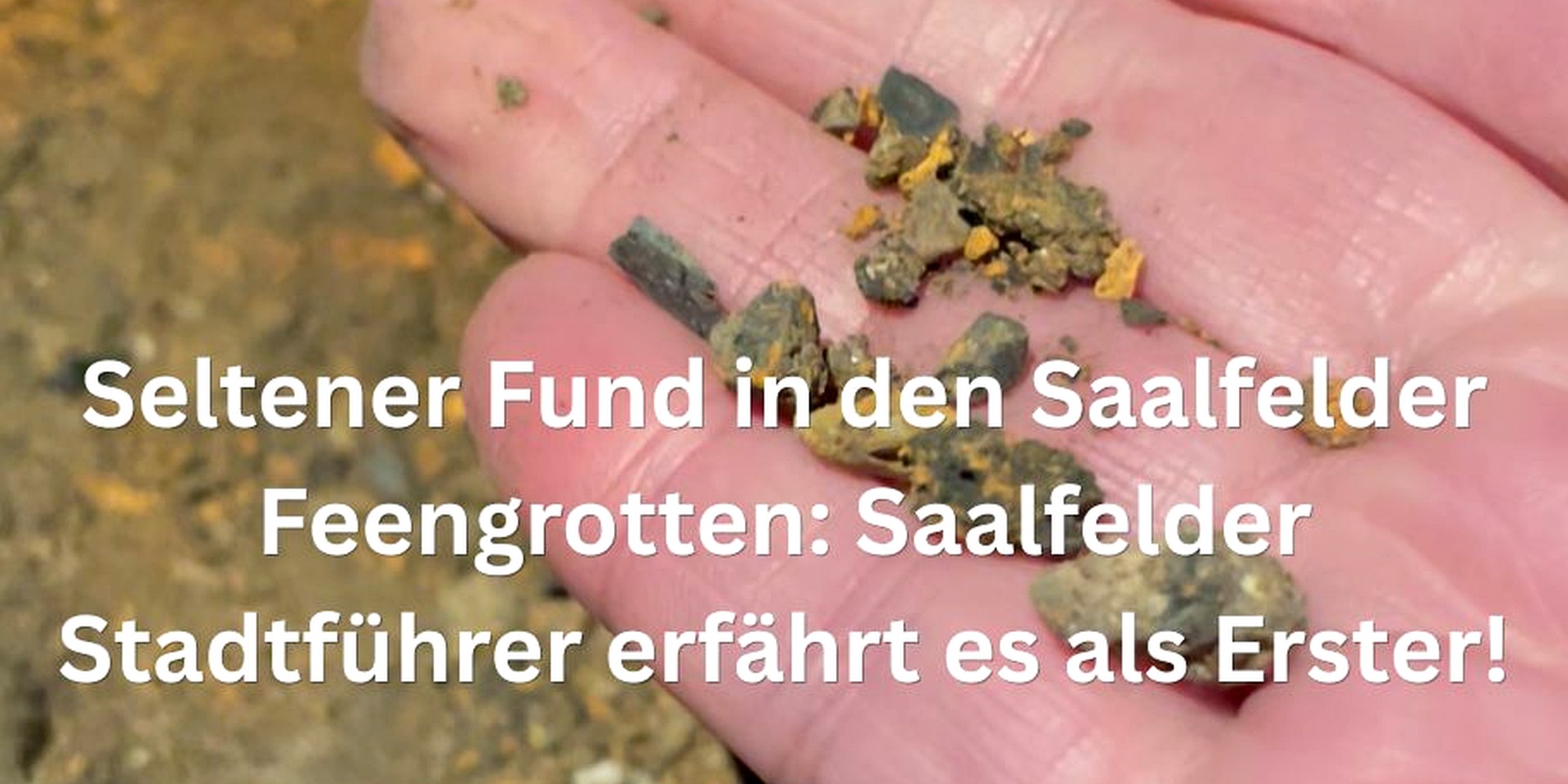 News-Bild 1