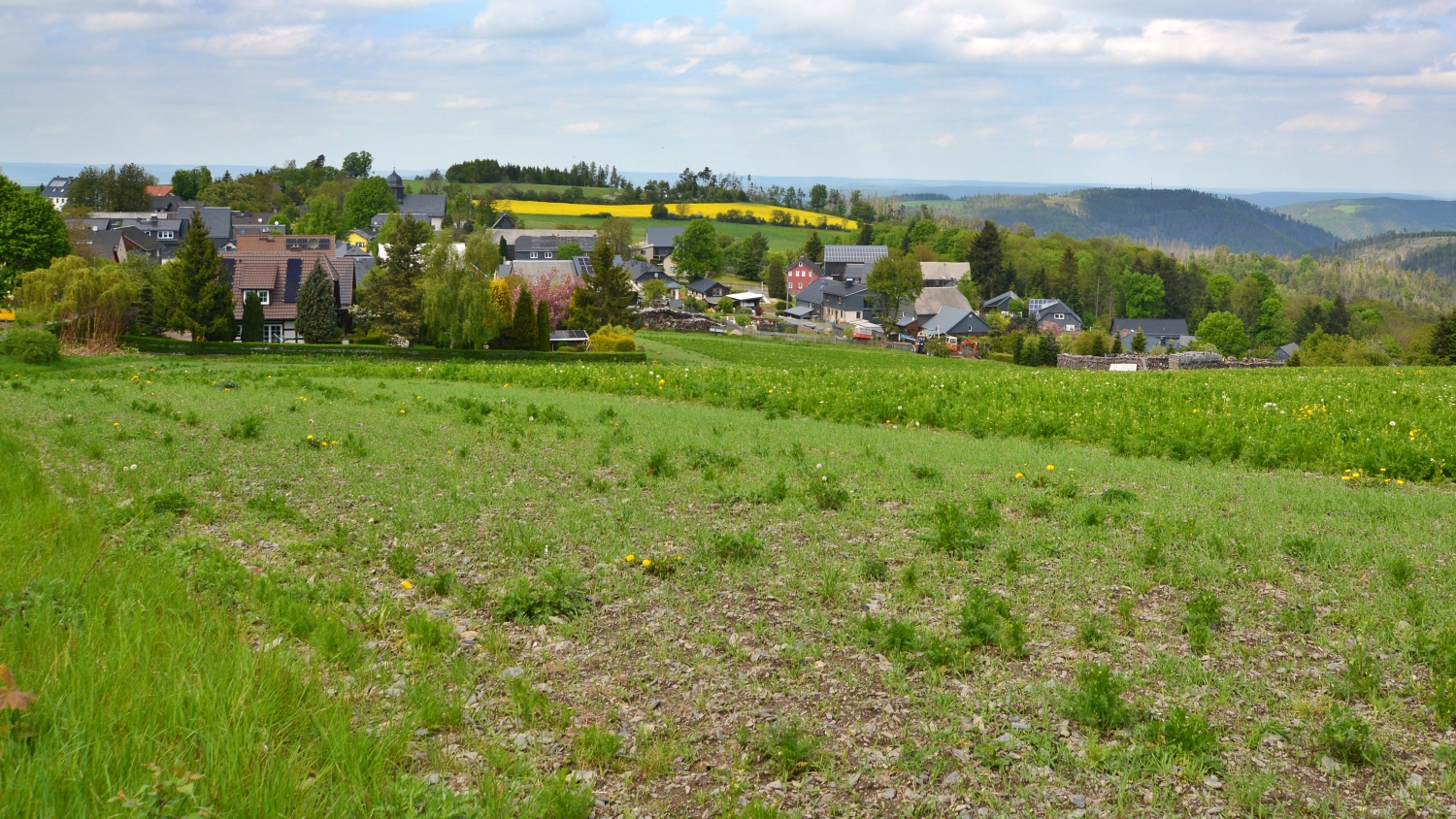 News-Bild 10